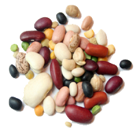 BEANS
